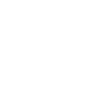 Lost Mary